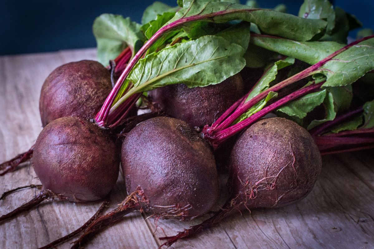 BEET KVAAS